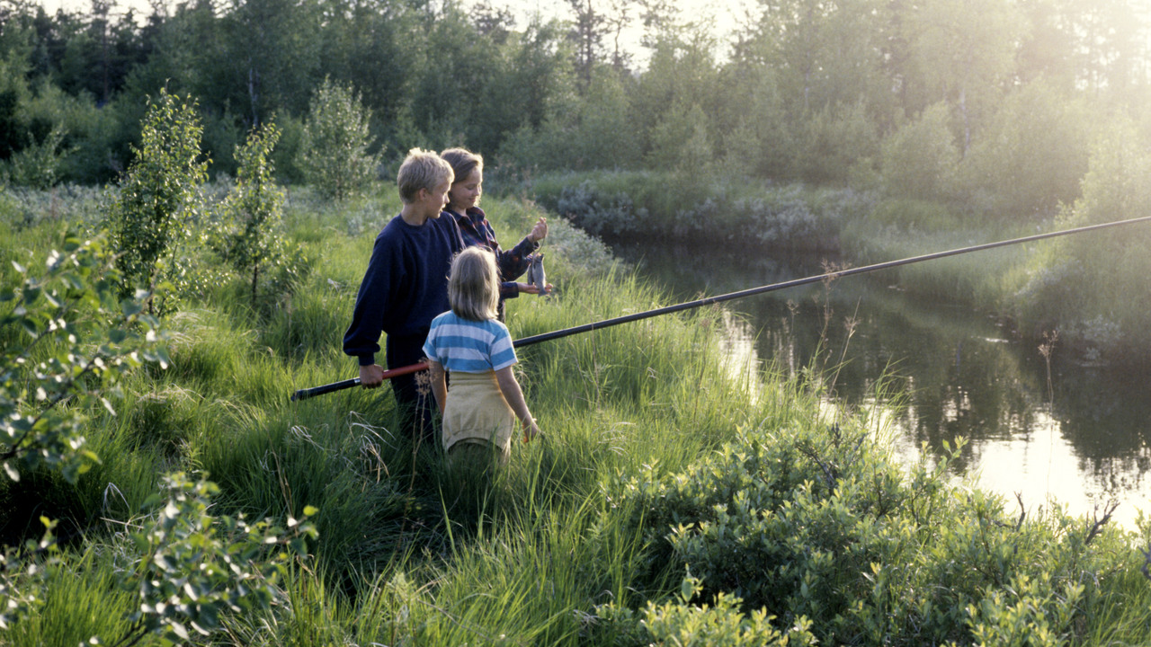 En grupp med barn fiskar i en å.