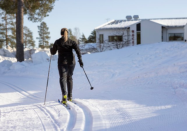 Vi ser baksidan av en person med långt, blont hår som åker längdskidor i preparerade spår. I bakgrunden syns Skellefteå campings receptionsbyggnad.