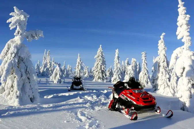 Skotrar i ett vinterlandskap