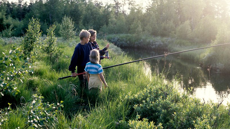 En grupp med barn fiskar i en å.